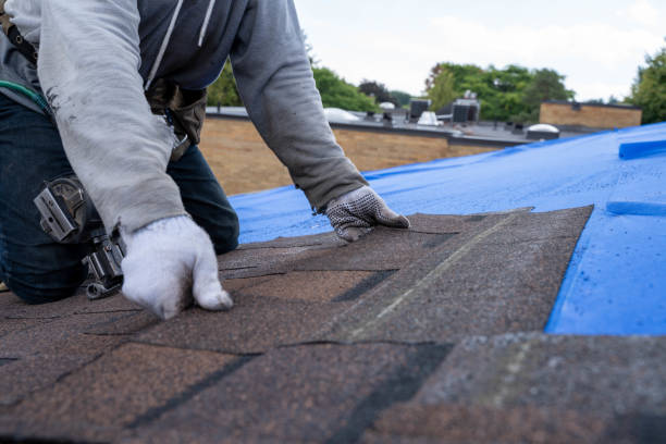 Best Roof Moss and Algae Removal  in Dequincy, LA